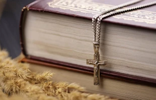 Imagen referencial: Biblia. Crédito: Shutterstock