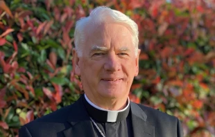 El Arzobispo irlandés Noël Treanor, nuncio apostólico ante la Unión Europea, falleció el 11 de agosto de 2024. Crédito: Diócesis de Down y Connor (Irlanda).
