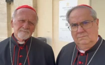Cardenales Bokalic y Rossi en Roma