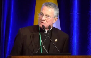 El arzobispo Timothy Broglio, presidente de la Conferencia de Obispos Católicos de Estados Unidos, habla en la asamblea plenaria de otoño de la USCCB el 14 de noviembre de 2023. Crédito: Video de la USCCB.