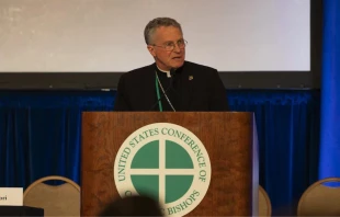 El presidente de la USCCB, el arzobispo Timothy Broglio, habla en la reunión de primavera de los obispos, el jueves 13 de junio de 2024. Crédito: USCCB.