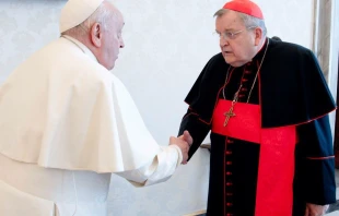 El Papa Francisco se reúne con el Cardenal Raymond Burke el 29 de diciembre de 2023 en el Vaticano. Crédito: Vatican Media