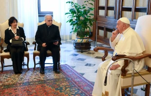 El Papa Francisco durante la audiencia con la Pontificia Comisión para América Latina Crédito: Vatican Media