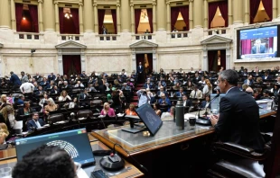 Cámara de Diputados en Argentina Crédito: Diputados Argentina