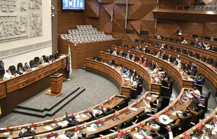 Cámara de Diputados de Bolivia Crédito: Asamblea Legislativa Plurinacional/Flickr (CC BY 2.0 DEED)