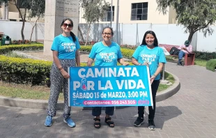 Integrantes de la RED Jóvenes Provida Perú promoviendo la Caminata por la Vida 2025. Crédito: RED Jóvenes Provida Perú
