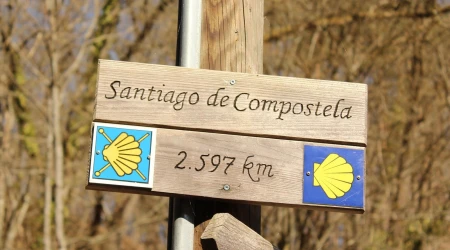 Imagen referencial del Camino de Santiago.