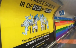 Cartel de la campaña ¿Te parece divertido ir de flor en flor?" que alerta contra la promiscuidad sexual. Crédito: AFAN Madrid.