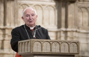 Cardenal Antonio Cañizares Crédito: Archidiócesis de Valencia (España)