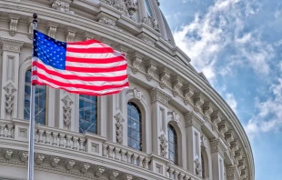 Capitolio y bandera de Estados Unidos. Crédito: Andrea Izzotti / Shutterstock.