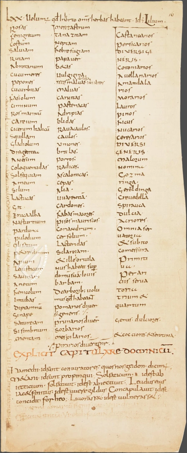 Imagen del Capitulare de Villis vel Curtis Imperii. Crédito: Cortesía de fray Eduardo Oliver