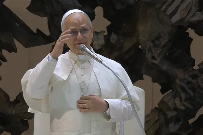 El Papa León XIV, al inicio de la Audiencia General del 27 de agosto de 2025.