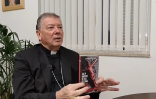 Mons. Juan Antonio Martínez Camino, Obispo Auxiliar de Madrid. Crédito: Nicolás de Cárdenas / ACI Prensa.