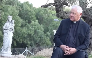 El Cardenal Gerhard Müller. Crédito: La Sacristía de la Vendée.