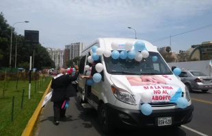 Vehículo en la Caravana por la Vida 2022. Crédito: Marchemos por las 2 Vidas