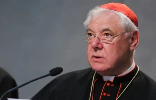 Cardenal Gerhard Müller, prefecto emérito de la Congregación para la Doctrina de la Fe, habló esta semana en Roma con la periodista católica Diane Montagna, elogiando la “proclamación centrada en Cristo del Evangelio” del Papa León. Crédito: Daniel Ibáñez/EWTN News.