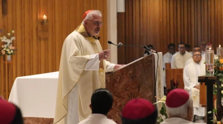 Cardenal Fabio Baggio