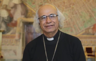 Cardenal Leopoldo Brenes, Arzobispo de Managua (Nicaragua): Crédito: Daniel Ibáñez / Vatican News.