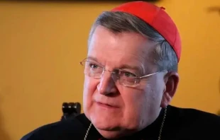 Cardenal Raymond Burke Crédito: ACI Prensa