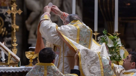 El Cardenal Burke en la Misa que celebró este sábado en la Basílica de San Pedro