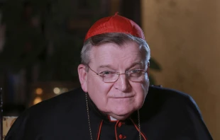 Cardenal Raymond L. Burke. Crédito: Lucía Ballester / ACI Prensa