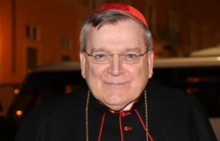 Cardenal Raymond Burke. Crédito: ACI Prensa