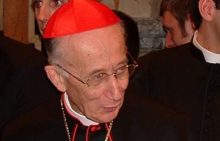 Cardenal Camillo Ruini. Crédito: Giuseppe Ruggirello CC BY-SA 3.0