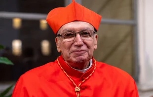 Cardenal Carlos Castillo, Arzobispo de Lima y Primado del Perú. Crédito: Daniel Ibáñez / EWTN News.