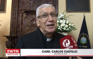 Cardenal Carlos Castillo, Arzobispo de Lima y Primado del Perú. Crédito: EWTN Noticias.