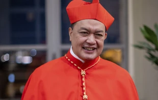 Cardenal Pablo Virgilio David, Obispo de Kalookan (Filipinas). Crédito: Daniel Ibáñez / EWTN News.