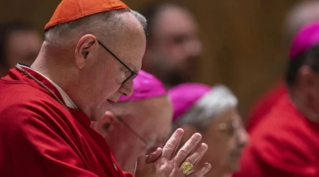 Cardenal Timothy Dolan, Arzobispo Emérito de Nueva York