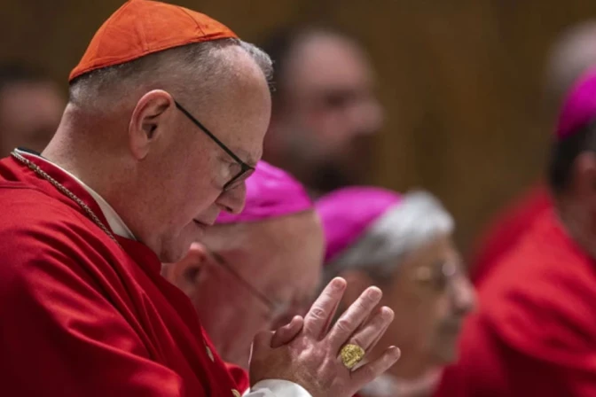 Cardenal Timothy Dolan, Arzobispo Emérito de Nueva York