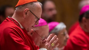 Cardenal Timothy Dolan, Arzobispo de Nueva York.
