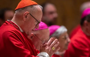 Cardenal Timothy Dolan, Arzobispo de Nueva York. Crédito: Daniel Ibáñez / EWTN News.