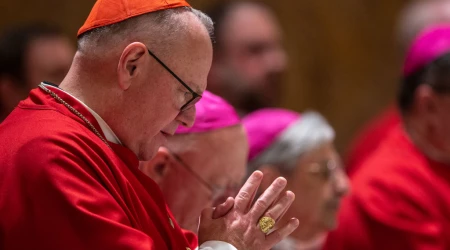 Cardenal Timothy Dolan, Arzobispo de Nueva York.