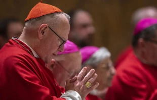 Cardenal Timothy Dolan, Arzobispo de Nueva York. Crédito: Daniel Ibáñez / EWTN News.