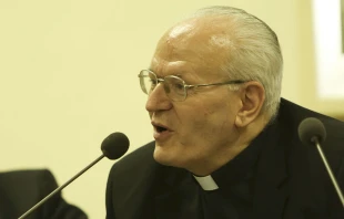 Cardenal húngaro Péter Erdö Crédito: Daniel Ibáñez / EWTN News.