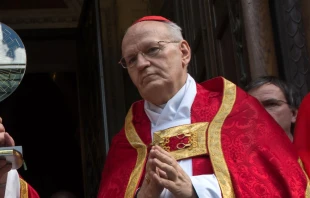 Cardenal Peter Erdö, arzobispo de Esztergom-Budapest (Hungría). Crédito: Flickr Catholic Church England and Wales CC BY-NC-ND 2.0