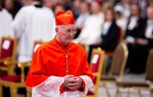 Cardenal Eugenio Dal Corso. Crédito: Daniel Ibáñez / EWTN News