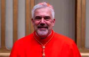 Cardenal Fabio Baggio, subsecretario del Dicasterio para el Servicio del Desarrollo Humano Integral, ordenado arzobispo titular de Arusi. Crédito: Daniel Ibáñez / EWTN News.