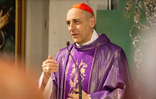 Cardenal Víctor Manuel "Tucho" Fernández confirma que en abril el Vaticano publicará un documento sobre la dignidad humana. Crédito: Elizabeth Alva / ACI Prensa