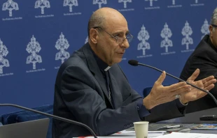 Cardenal Víctor "Tucho" Fernández, prefecto del Dicasterio para la Doctrina de la Fe, habla sobre Garabandal, en la rueda de prensa sobre Medjugorje, realizada en el Vaticano el 19 de septiembre de 2024. Crédito: Daniel Ibáñez / EWTN News