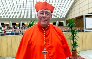Cardenal Jean-Claude Hollerich, Arzobispo de Luxemburgo, presidió la Misa de beatificación de los 50 mártires del apostolado católico, realizada ayer en la Catedral de Notre Dame de París. Crédito: Daniel Ibáñez / EWTN News.