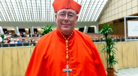 Cardenal Jean-Claude Hollerich, Arzobispo de Luxemburgo.