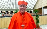 Cardenal Jean-Claude Hollerich, Arzobispo de Luxemburgo, presidió la Misa de beatificación de los 50 mártires del apostolado católico, realizada ayer en la Catedral de Notre Dame de París.