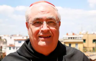Cardenal José Luis Lacunza. Crédito: CNA.