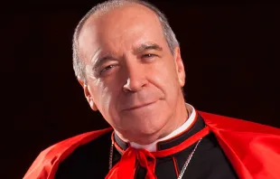 Cardenal Nicolás de Jesús López Rodríguez. Crédito: Wikipedia (CC BY-SA 4.0)