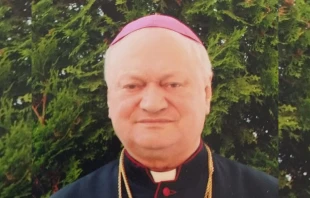 Cardenal Lucian Mureşan +, arzobispo mayor de la Iglesia Greco-Católica en Rumanía. Crédito: Mihai Andrei (CC BY-SA 4.0).