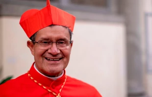 Arzobispo de Guayaquil, Cardenal Luis Cabrera. Crédito: Daniel Ibáñez / EWTN News.