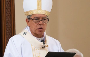 Cardenal Luis José Rueda Aparicio. Crédito: Eduardo Berdejo (ACI)